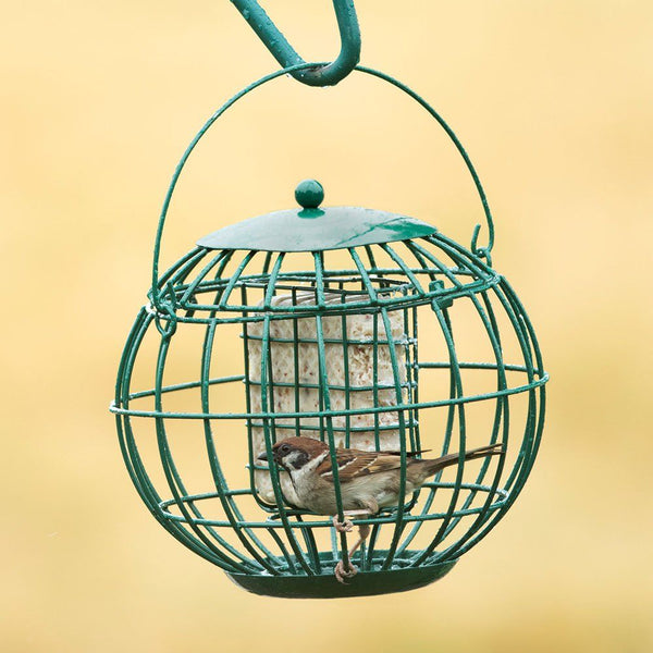 Vogelbescherming - Londen vetblokhouder