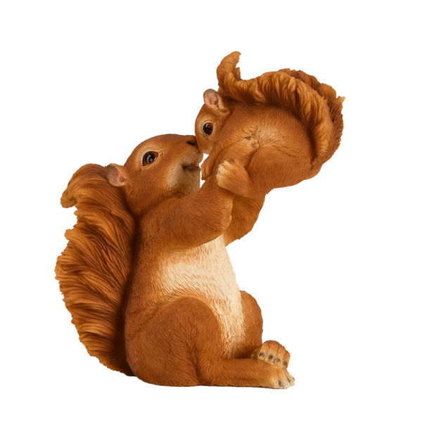 Eekhoorn met baby