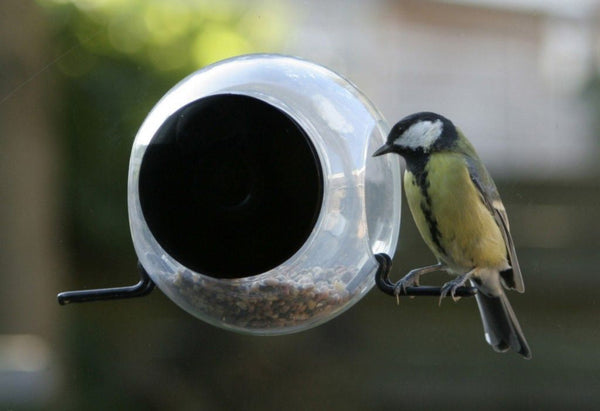 Birdfeeder raamvoederhuisje