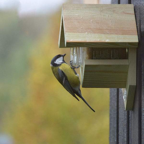 Pindakaashuis oud hout