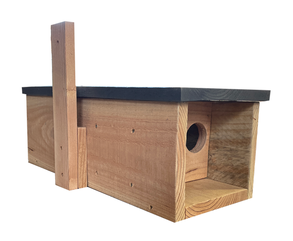 Steenuil kast