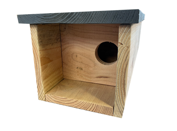 Steenuil kast