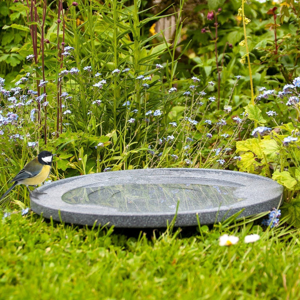 Water is Leven Vogelbad en Drinker