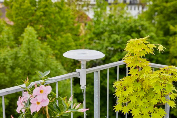 ClickUp! BirdBath