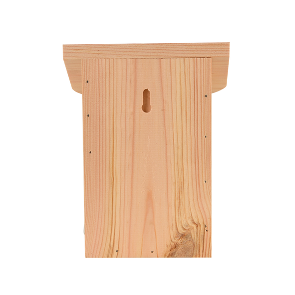 Diapositief vlinderkast