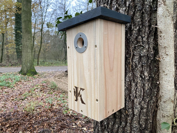 Kooprijk - Koolmees