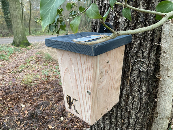 Kooprijk - Vleermuis