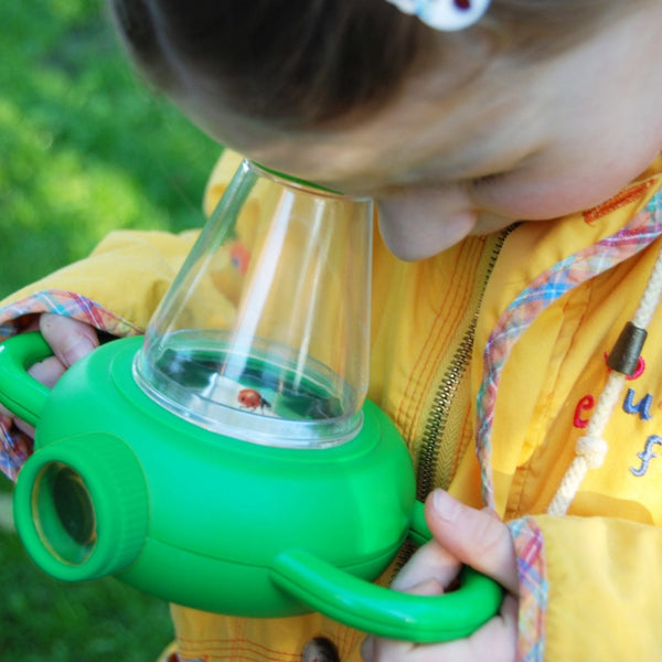 Insecten studeer doos