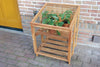Kweekkas hardhout