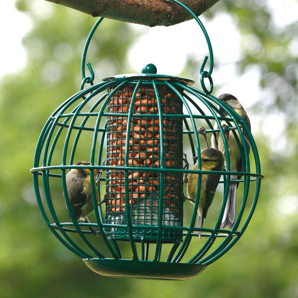 Vogelbescherming - Londen pindasilo