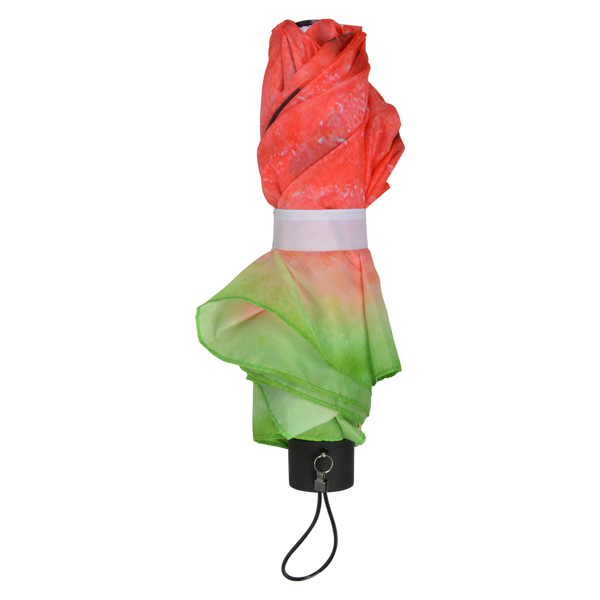 Opvouwbare paraplu fruit assorti