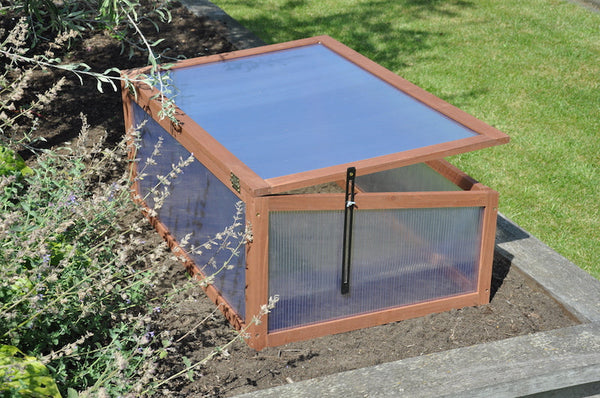 Roy Well - Broeikas Sweet Tomato