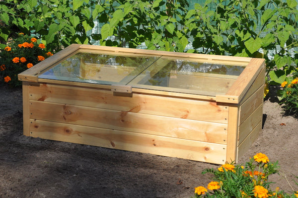 Roy Well - Strawberry Queen