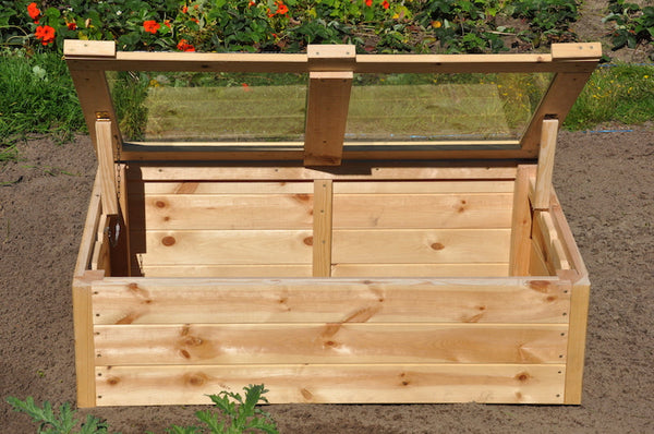 Roy Well - Strawberry Queen