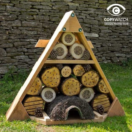 Educatie piramide