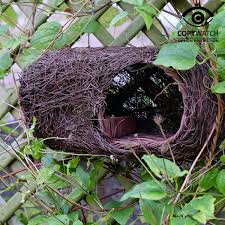 Roodborst vogelhuisje Simon