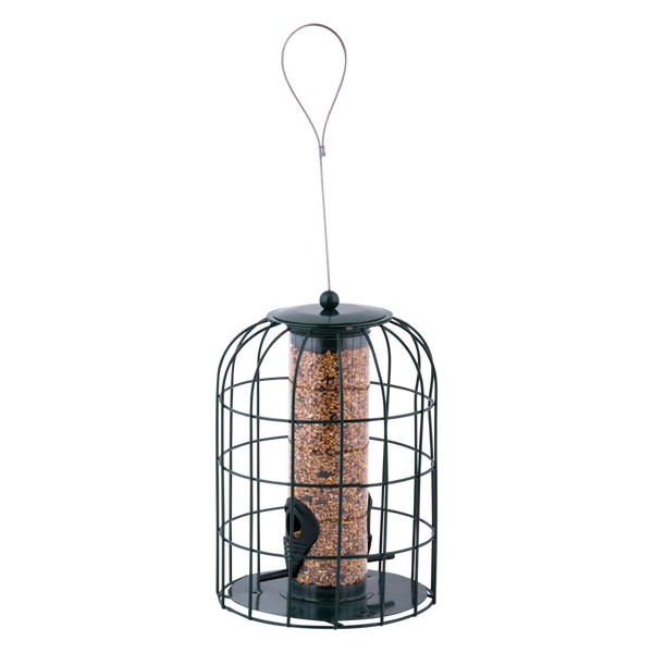 Vogelvoeder zaadsilo anti-eekhoorn