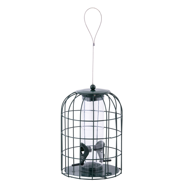 Vogelvoeder zaadsilo anti-eekhoorn