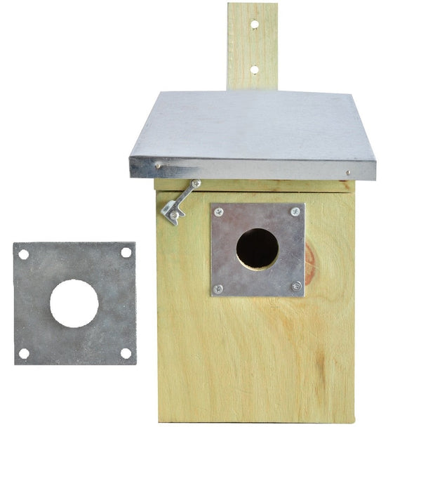 Beschermingsplaat koolmees vogelhuisje