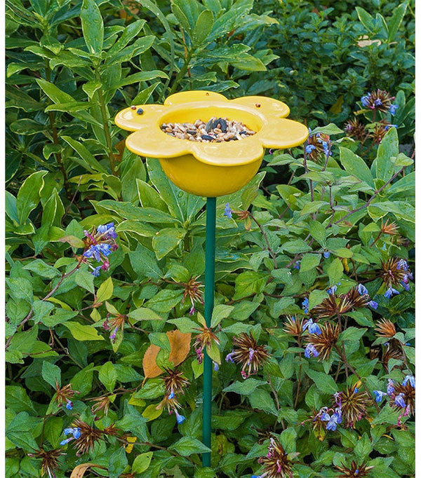 Petal vogel voeder geel