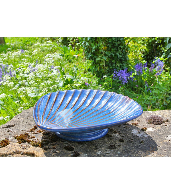 Vogelbad schelp