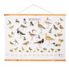 Wandposter Weidevogels