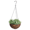 Hanging basket met cocosL