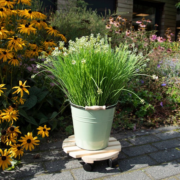 Ronde plantentrolley L